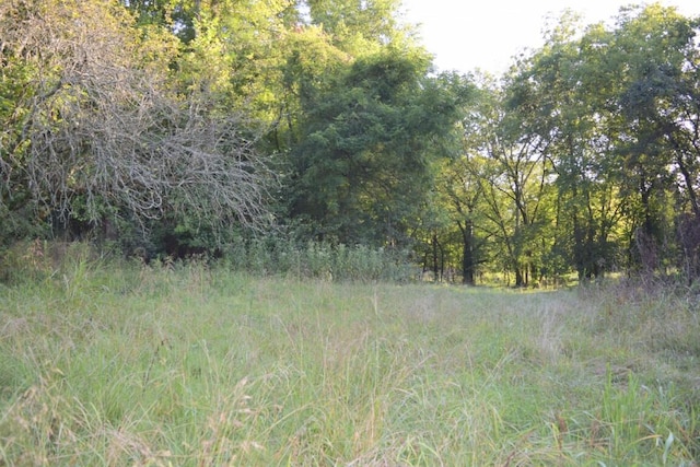 view of landscape