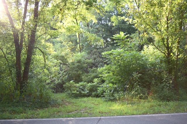 view of landscape