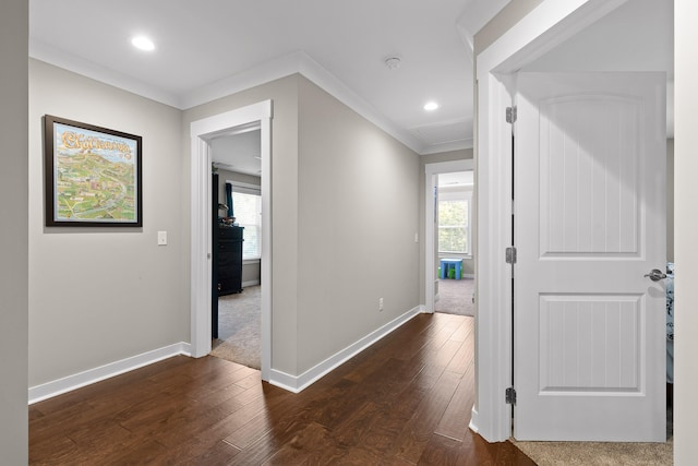 hall featuring crown molding and dark wood-type flooring