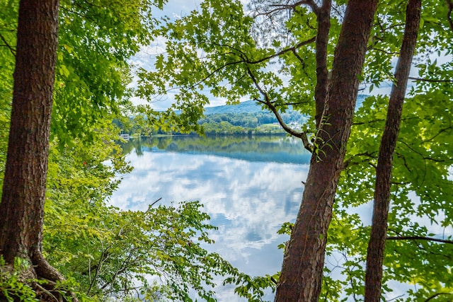 water view