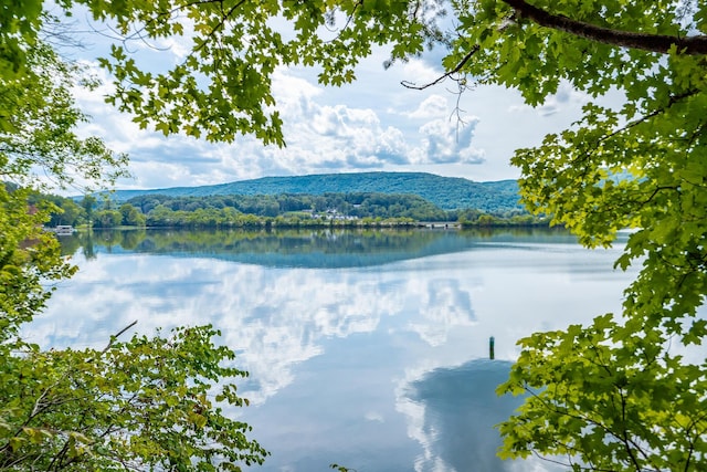 water view with a view of trees
