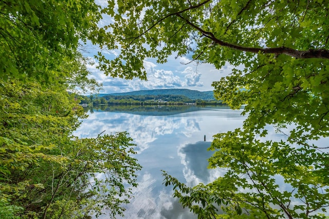 view of water feature with a forest view