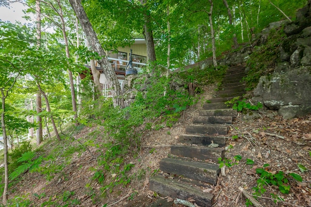 view of yard featuring stairway