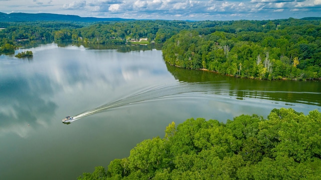 bird's eye view with a water view and a forest view