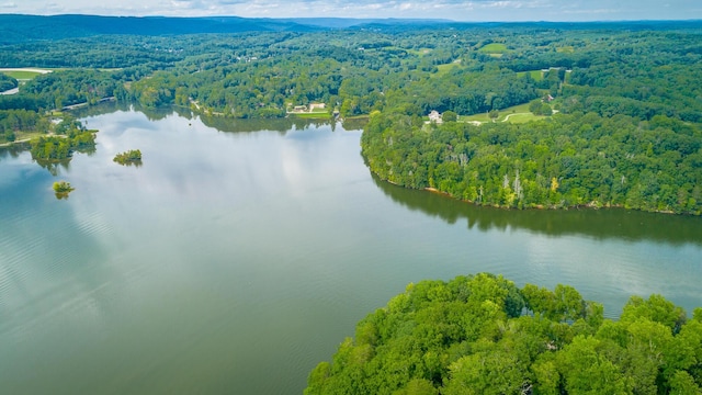 birds eye view of property featuring a water view and a view of trees
