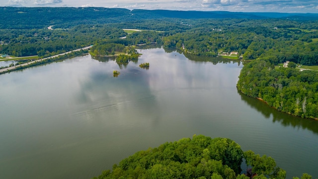aerial view featuring a water view and a forest view