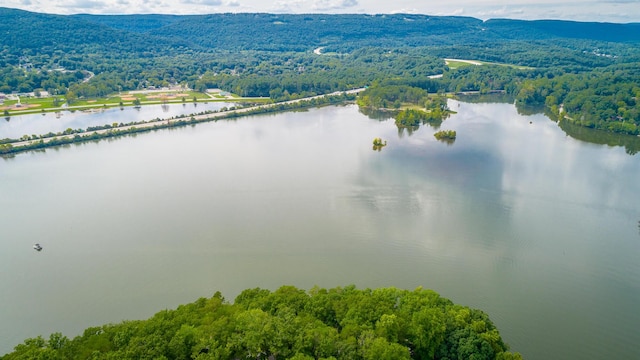drone / aerial view featuring a water view and a forest view