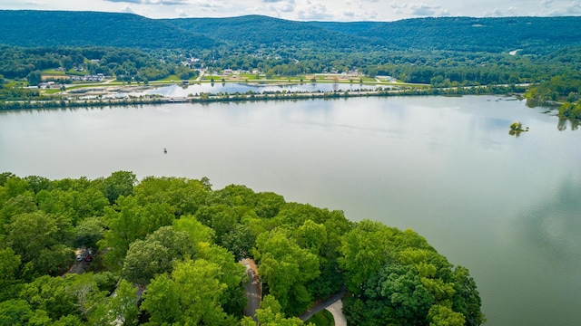 aerial view with a water and mountain view and a wooded view