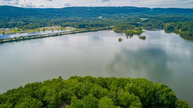 bird's eye view with a water and mountain view