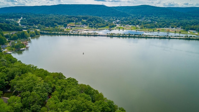 birds eye view of property with a water and mountain view