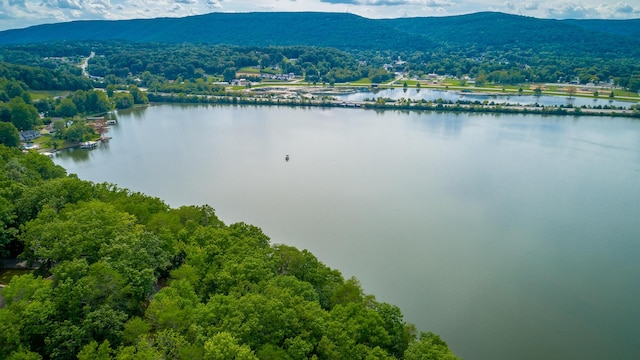 birds eye view of property featuring a water and mountain view and a view of trees