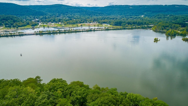 drone / aerial view with a wooded view and a water and mountain view