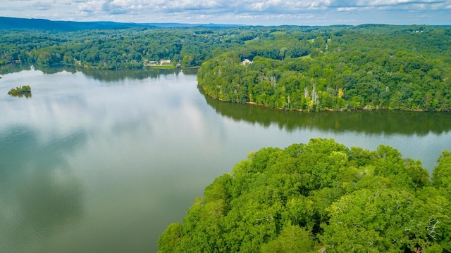 birds eye view of property with a water view and a view of trees