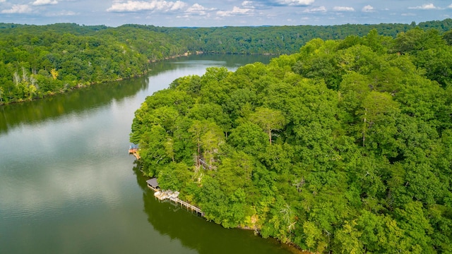 aerial view with a water view and a view of trees