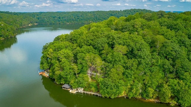 aerial view with a water view and a forest view