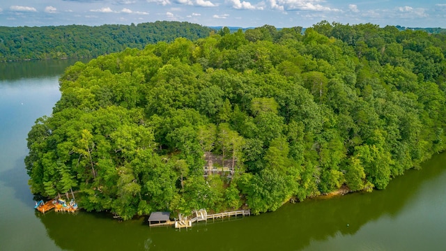 birds eye view of property featuring a water view and a view of trees