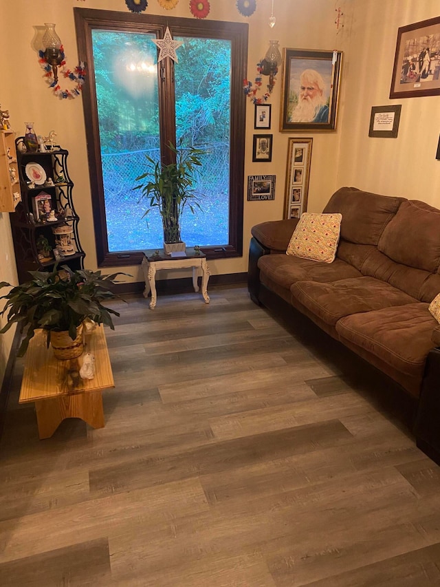 living room featuring hardwood / wood-style floors