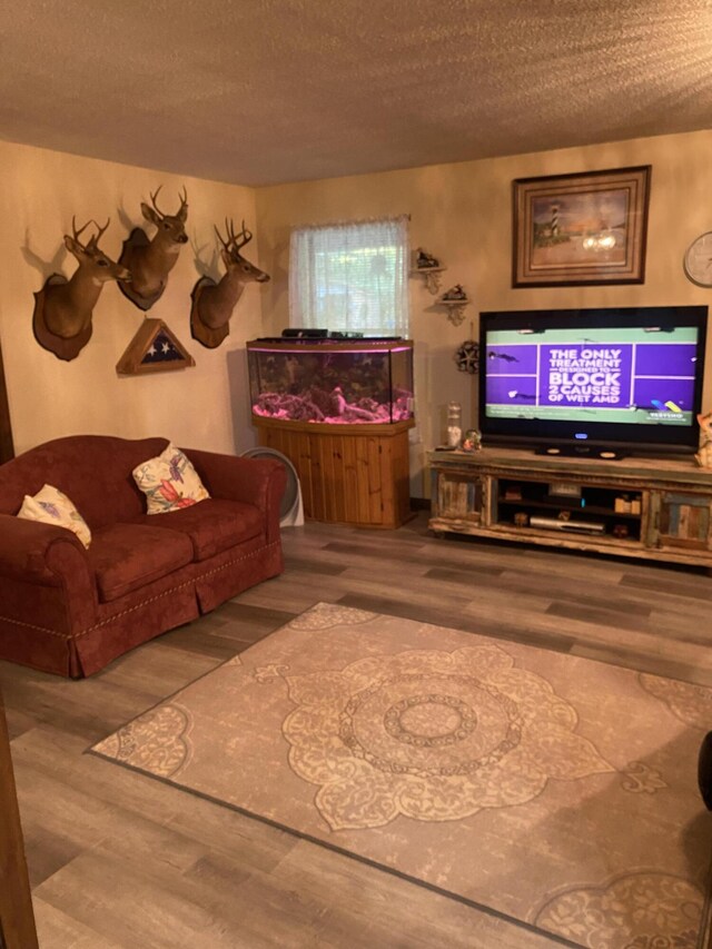 living room featuring a textured ceiling and wood-type flooring