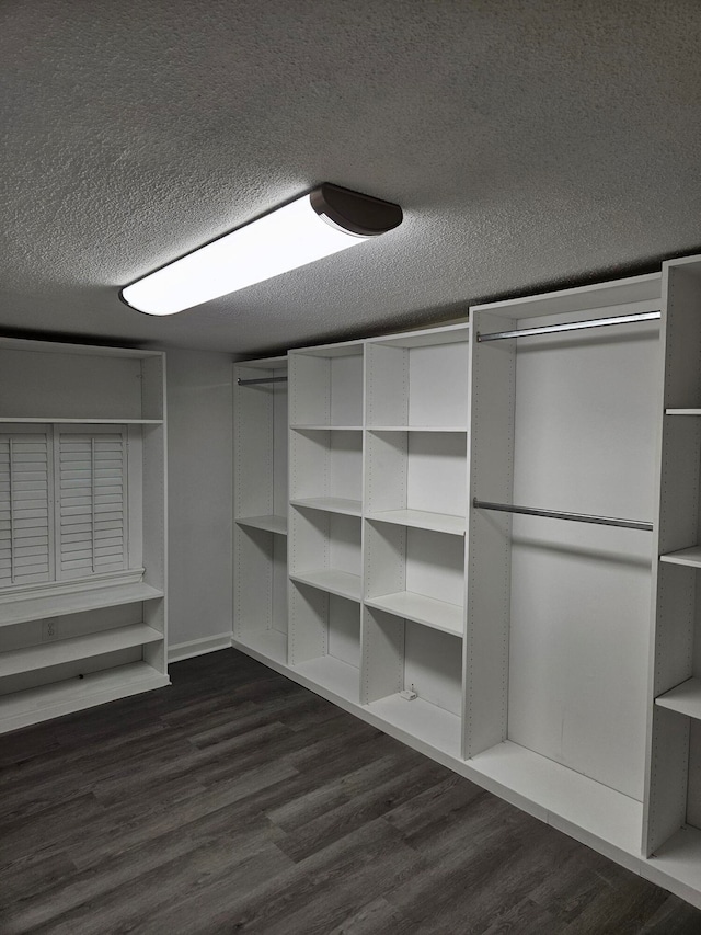 spacious closet with dark hardwood / wood-style flooring