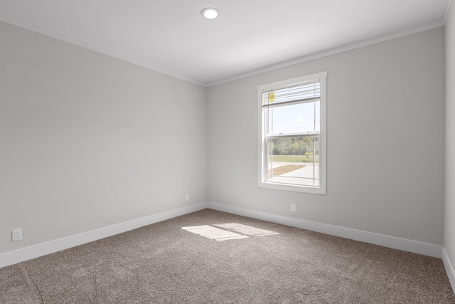 carpeted empty room with crown molding