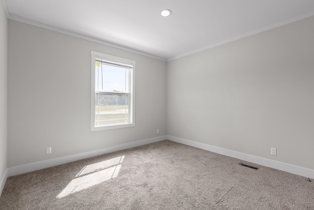 empty room featuring carpet floors and ornamental molding