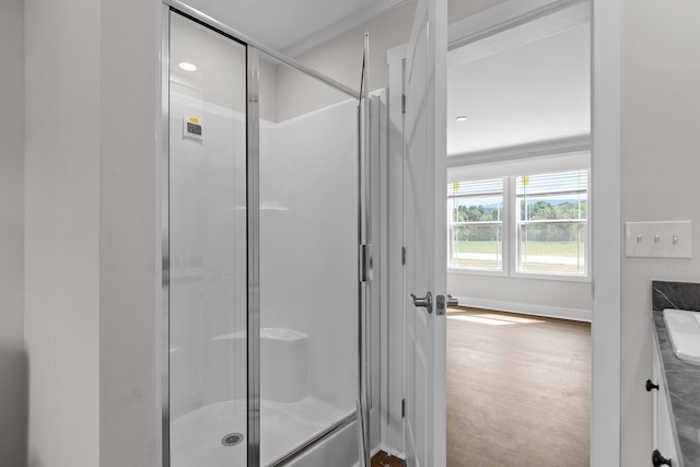 bathroom with an enclosed shower, hardwood / wood-style floors, and vanity