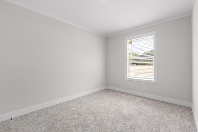 spare room with carpet floors and ornamental molding