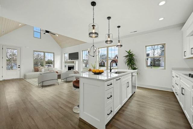 kitchen with plenty of natural light, dishwasher, a fireplace, and a sink