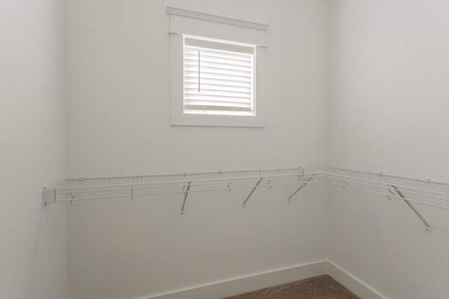 spacious closet with carpet flooring