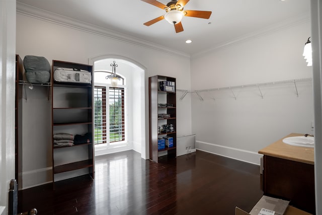 interior space with hardwood / wood-style floors, ceiling fan, crown molding, and vanity