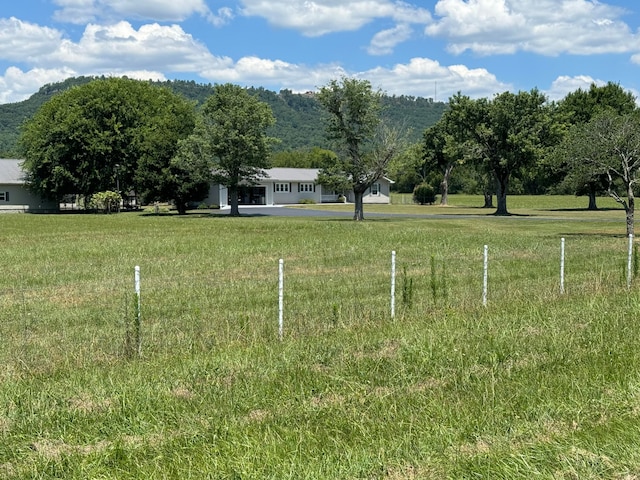 view of yard with a rural view