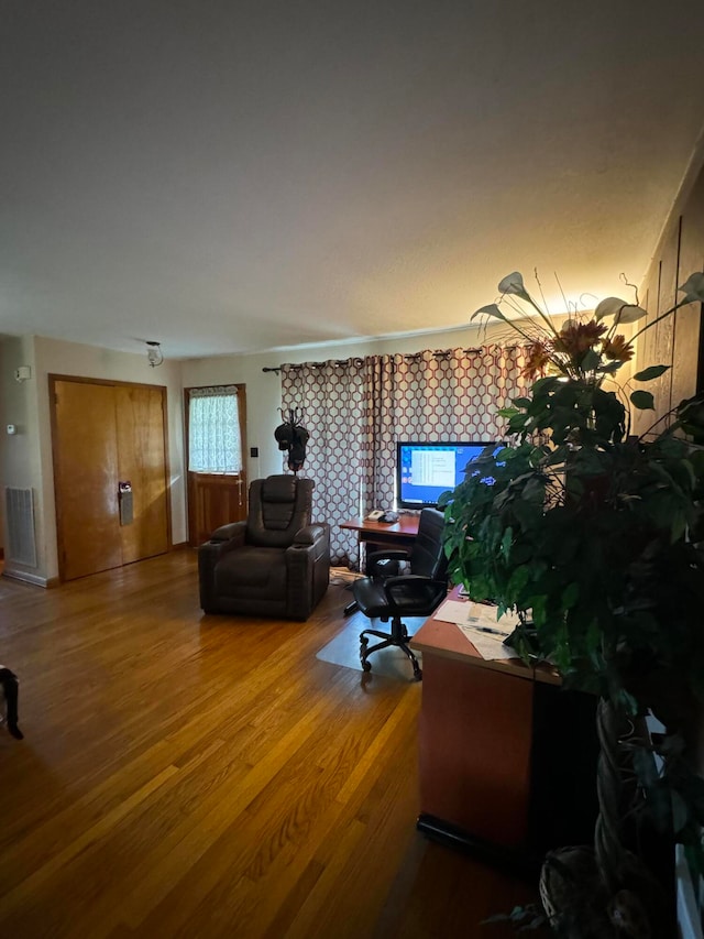 living room with hardwood / wood-style floors and plenty of natural light