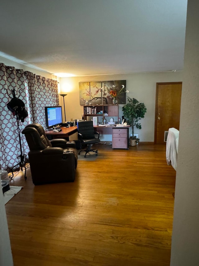 living room featuring hardwood / wood-style floors