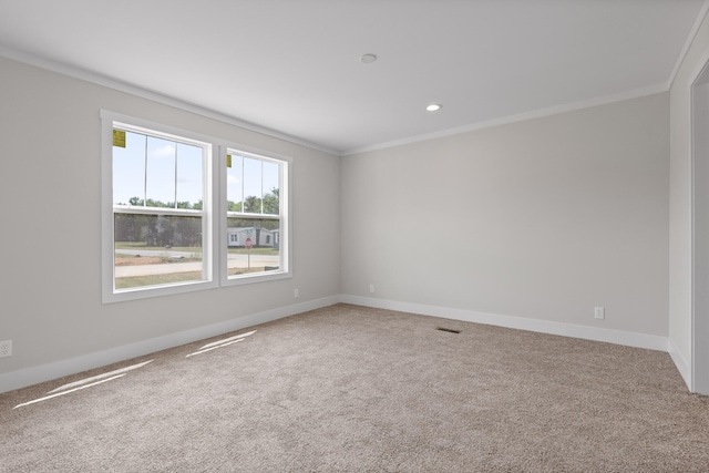 empty room with crown molding and carpet