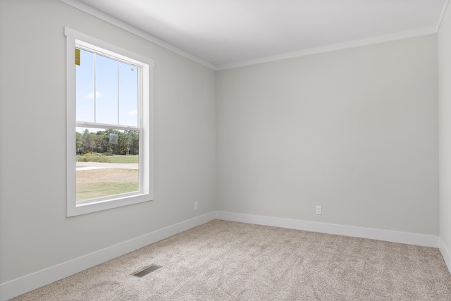 empty room with crown molding, plenty of natural light, and carpet