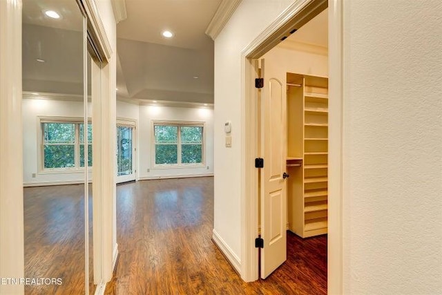 hall with crown molding and dark wood-type flooring