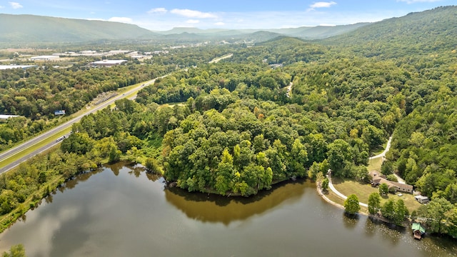 birds eye view of property featuring a water and mountain view