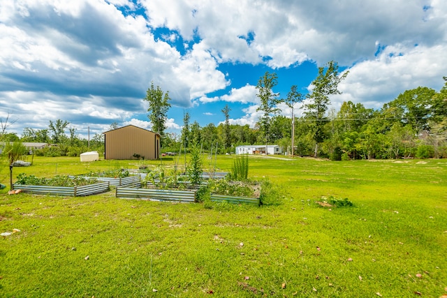 view of yard featuring a shed