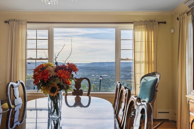 dining area featuring a mountain view and hardwood / wood-style flooring