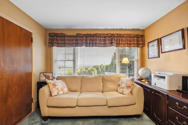 living room featuring carpet floors