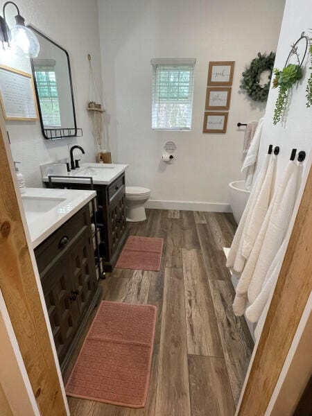 bathroom featuring wood-type flooring, vanity, and toilet