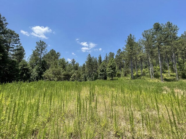 view of local wilderness