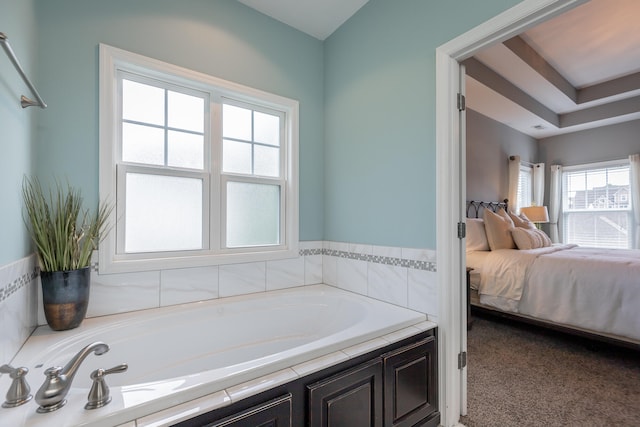 bathroom with a wealth of natural light and a washtub