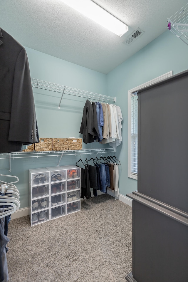 walk in closet featuring carpet