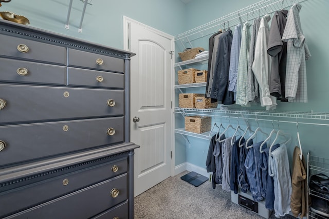 view of spacious closet