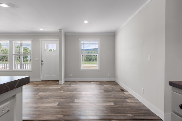 entryway featuring dark wood-type flooring and ornamental molding