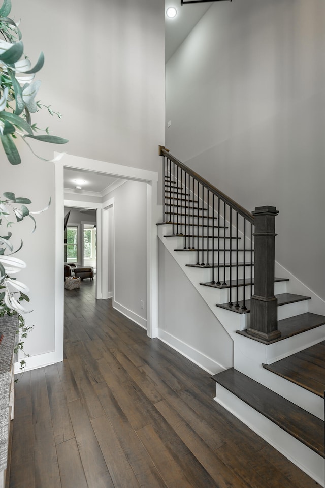 staircase featuring hardwood / wood-style flooring