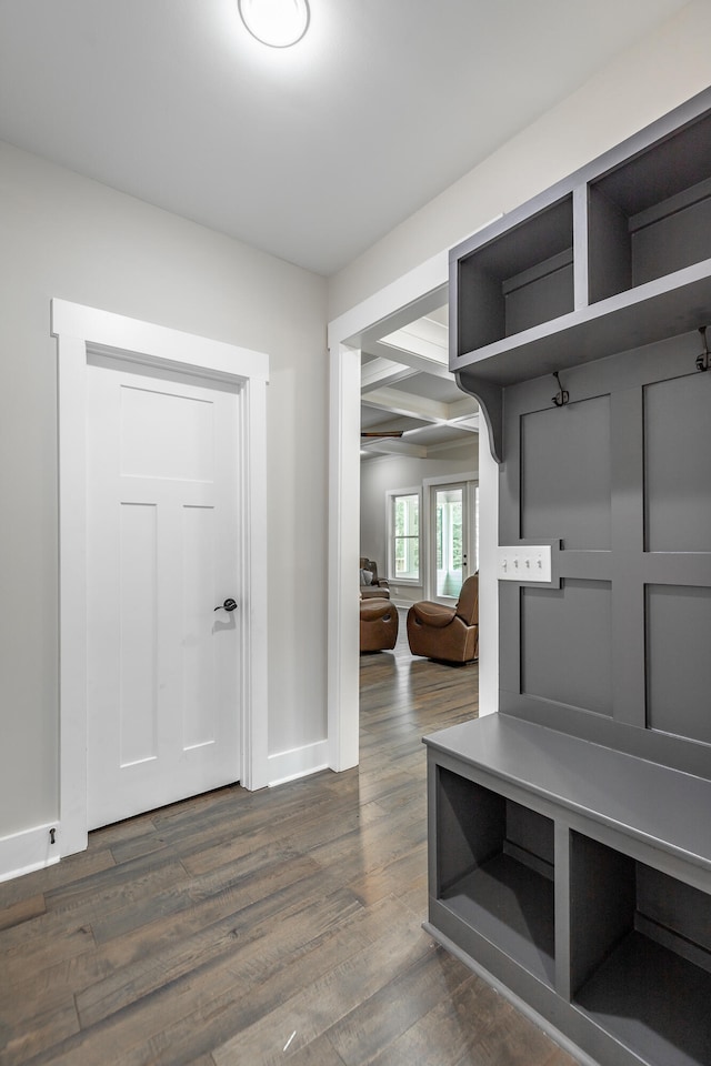 mudroom with dark wood-type flooring