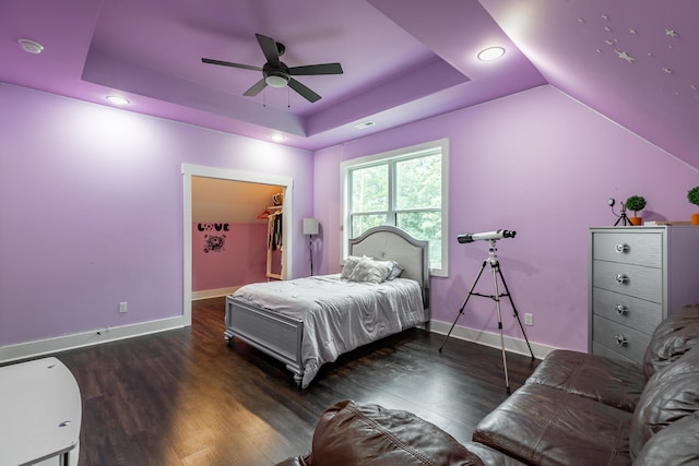 bedroom with a walk in closet, a closet, a raised ceiling, dark wood-type flooring, and ceiling fan