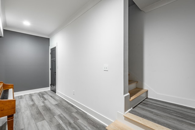 interior space featuring light wood-type flooring and crown molding